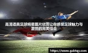 中国女棒国家队公布大赛目标