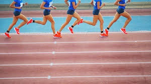 温馨沙盒涂色探索游戏《花园墨水》公开 支持中文配音